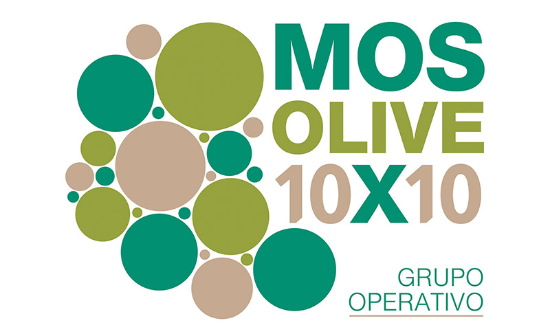 Grupo Operativo GO-MOSOLIVE